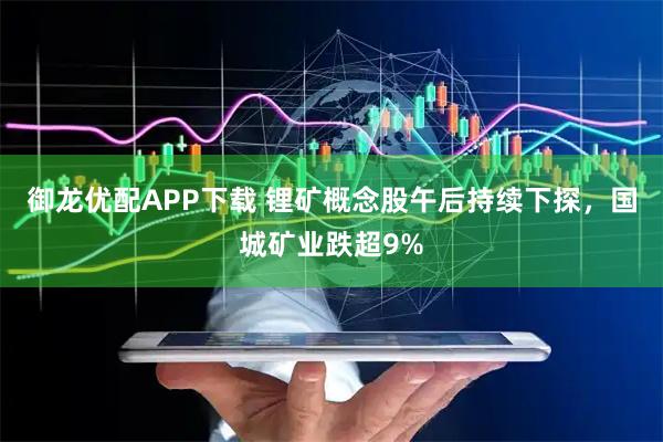 御龙优配APP下载 锂矿概念股午后持续下探，国城矿业跌超9%
