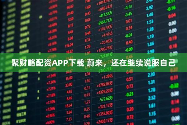 聚财略配资APP下载 蔚来，还在继续说服自己
