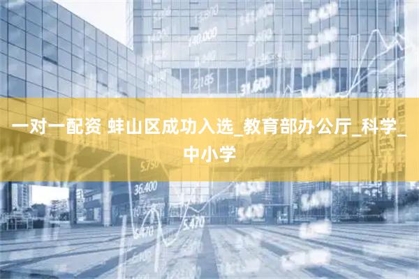 一对一配资 蚌山区成功入选_教育部办公厅_科学_中小学