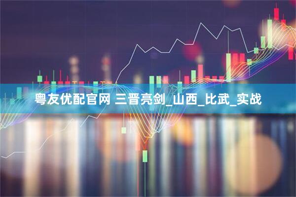 粤友优配官网 三晋亮剑_山西_比武_实战