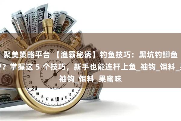 聚美策略平台 【渔霸秘诱】钓鱼技巧：黑坑钓鲫鱼想爆护？掌握这 5 个技巧，新手也能连杆上鱼_袖钩_饵料_果蜜味