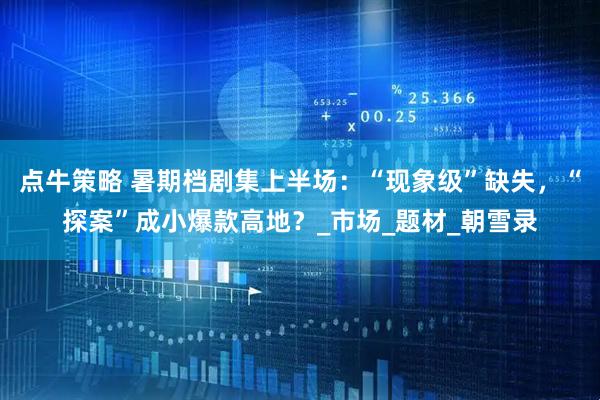 点牛策略 暑期档剧集上半场：“现象级”缺失，“探案”成小爆款高地？_市场_题材_朝雪录